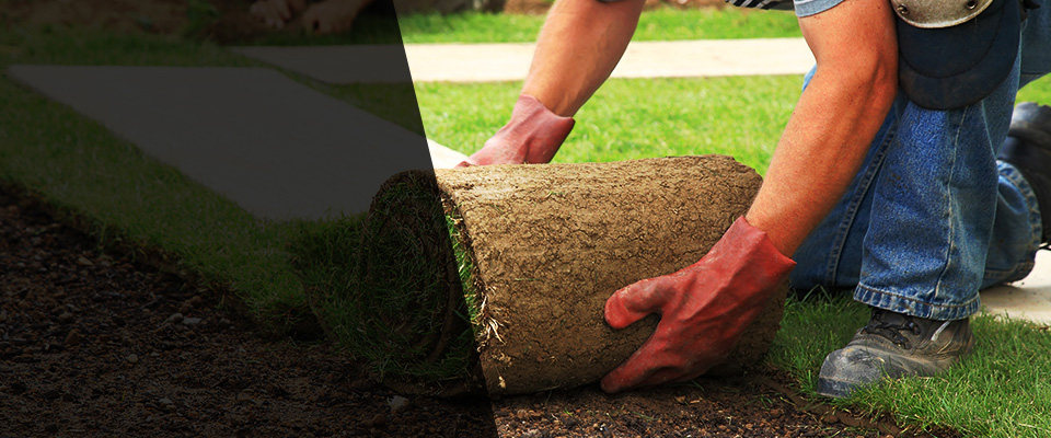 Walker Landscapers